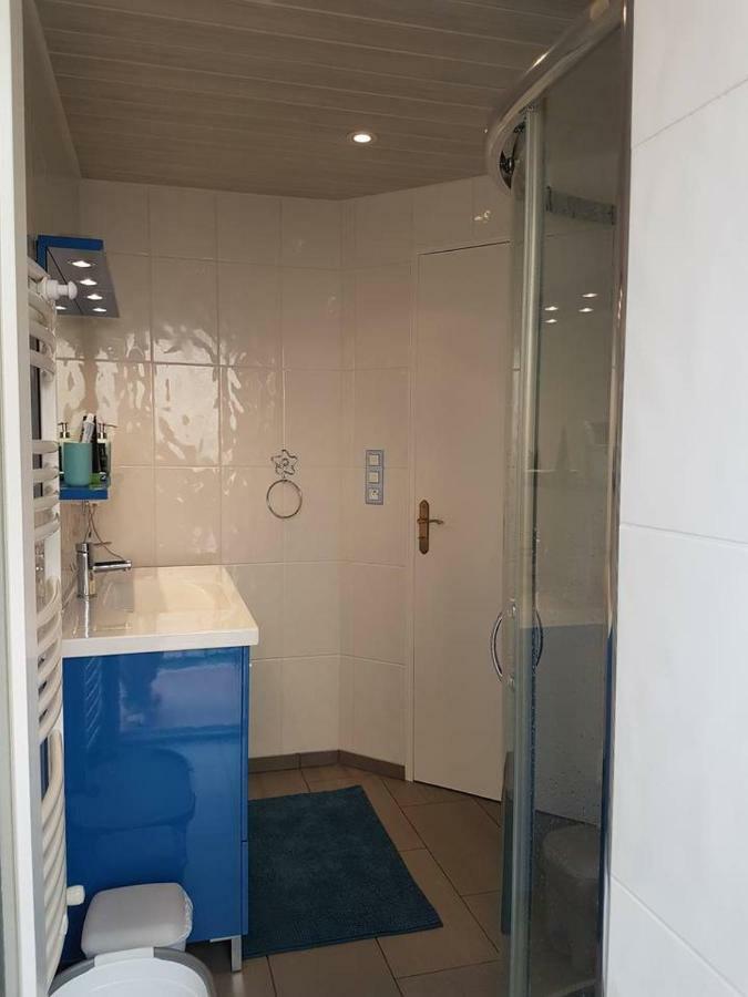 23 Rue Jean Amade Lejlighed Céret Eksteriør billede